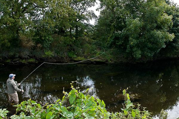 shady pool on the Illen