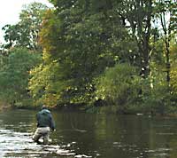 River Tweed Trout and Salmon Fishing Lodge Autumn - Scotland