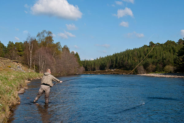 Spey cast