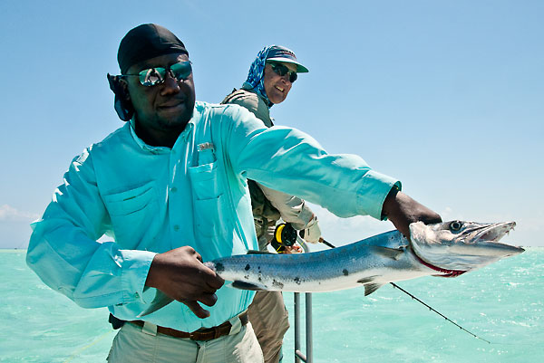 Barracuda