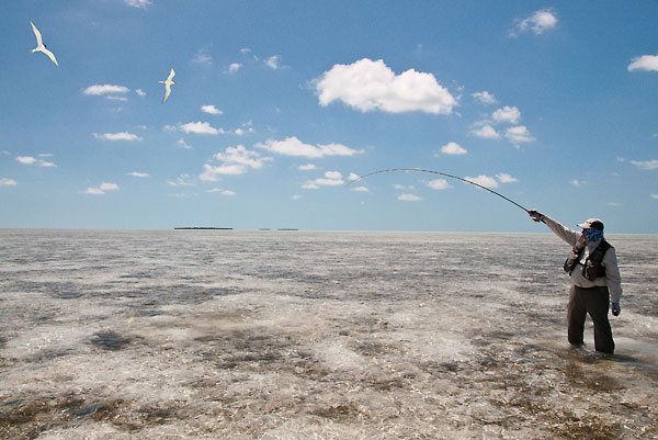 Bonefish fishing