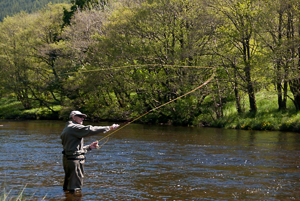 Lower R Lyon